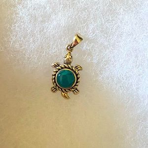 Cute silver turquoise turtle charm
